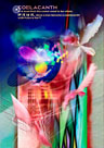 作品３